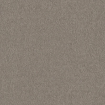 Maldive Leather V83