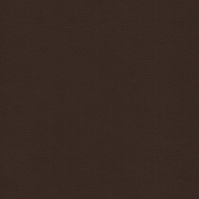 Linea Leather Y64