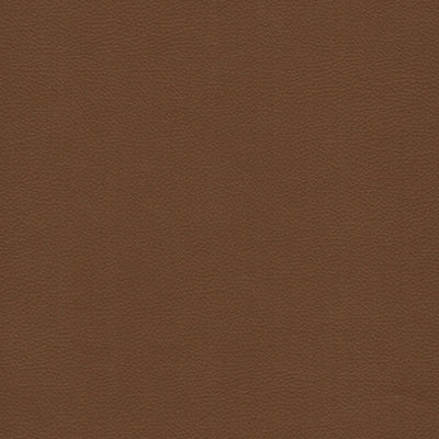 Linea Leather Y65