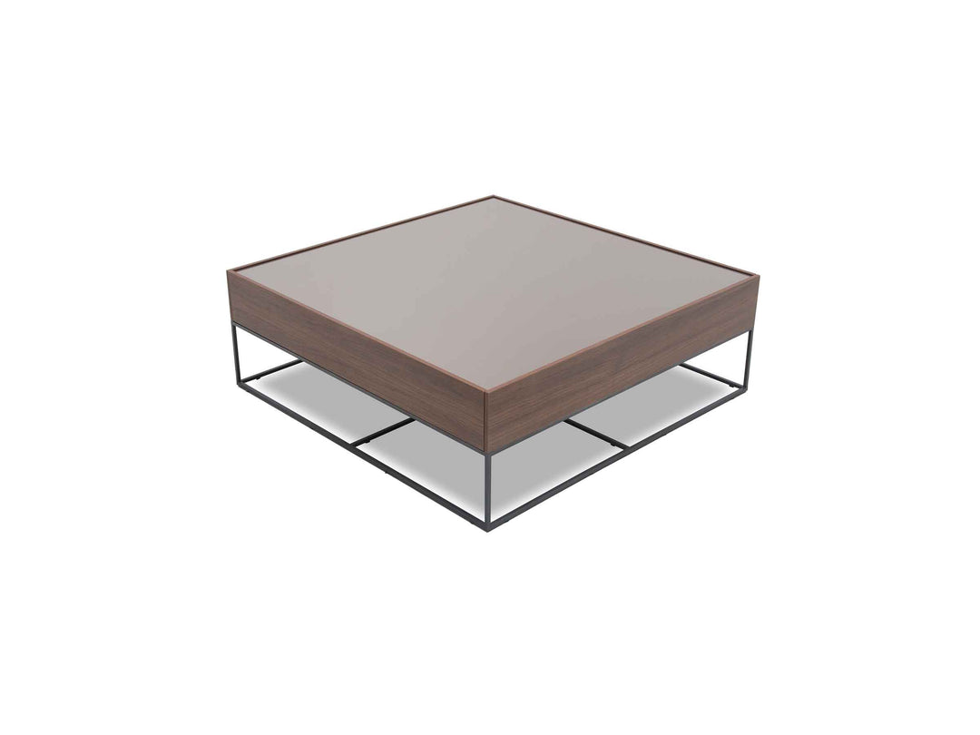 Amber Coffee Table